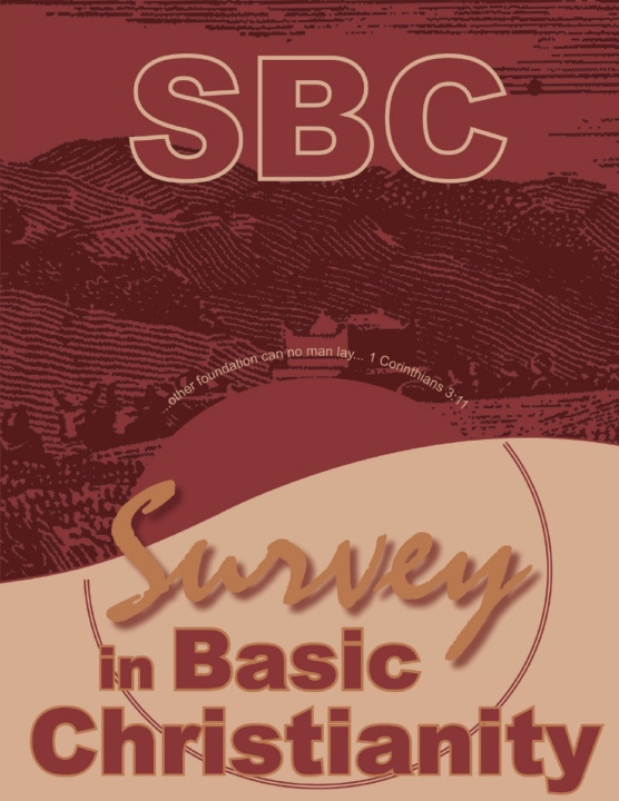 Carte Survey In Basic Christianity O J Gibson