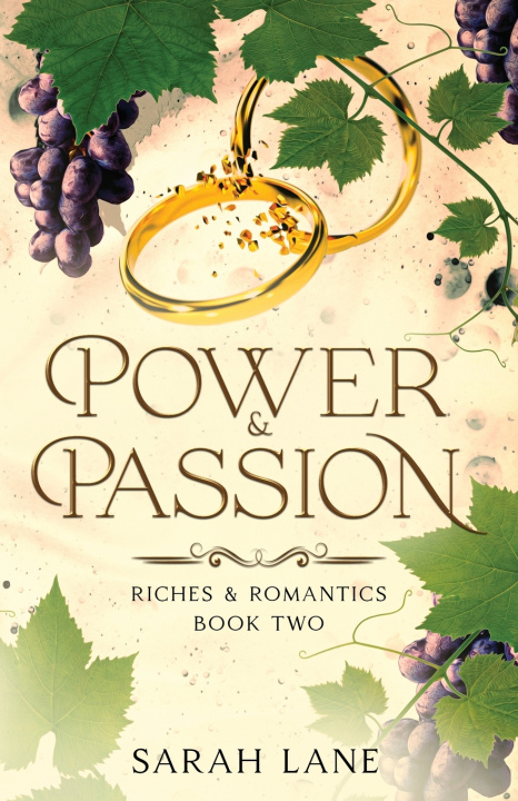 Buch Power & Passion (Riches & Romantics Book 2) Sarah Lane