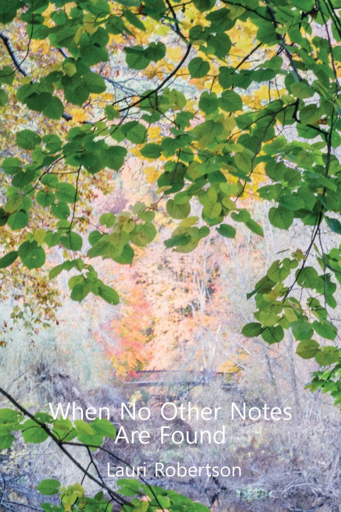 Libro When No Other Notes Are Found Lauri Robertson