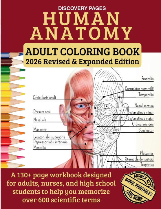 Buch Human Anatomy Adult Coloring Book Discovery Pages