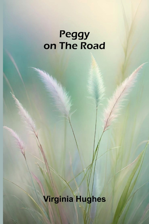 Buch Peggy on the Road Virginia Hughes