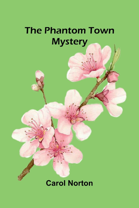 Buch The Phantom Town Mystery Carol Norton