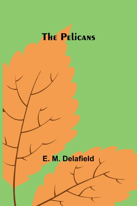 Buch The pelicans E. M. Delafield