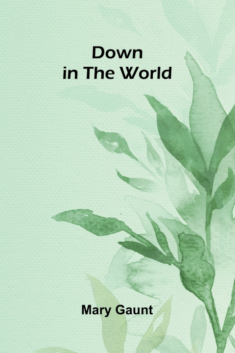 Libro Down in the World Mary Gaunt