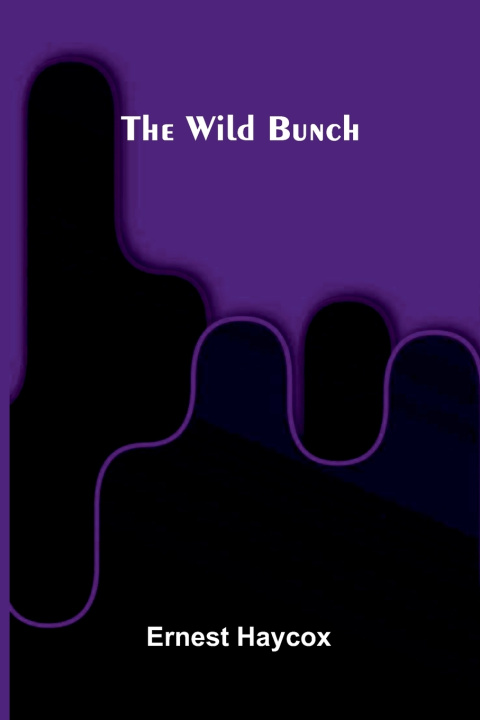 Książka The Wild Bunch Ernest Haycox