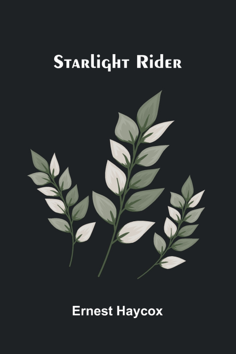 Boek Starlight Rider Ernest Haycox