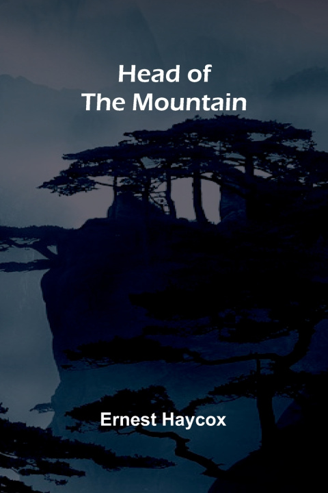 Buch Head of the Mountain Ernest Haycox
