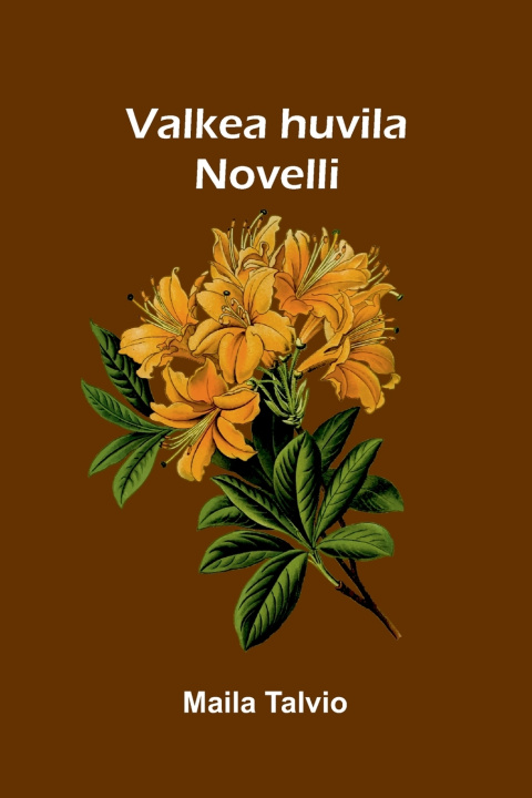 Book Valkea huvila Maila Talvio