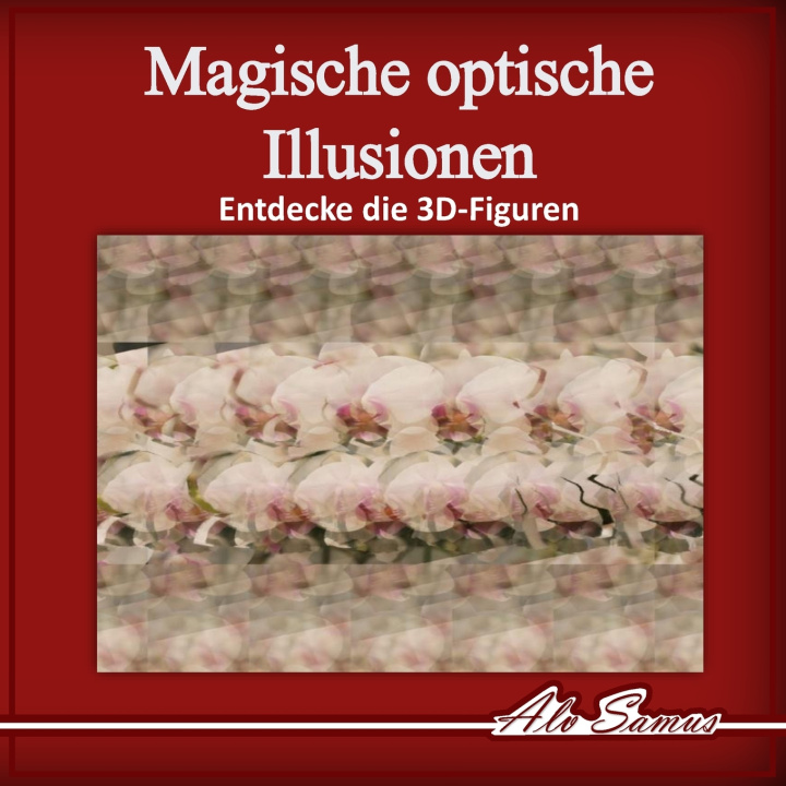 Könyv Magische optische Illusionen Alvaro Samuel Cespedes Ramirez