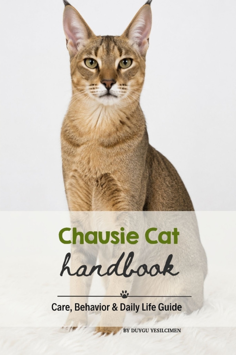 Boek Chausie Cat Duygu Yeşilçimen