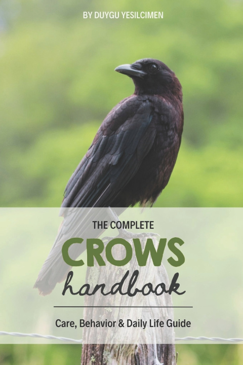 Buch Crows Handbook Duygu Yeşilçimen