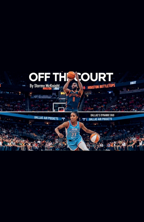 Boek Off The Court Stormy McKnight