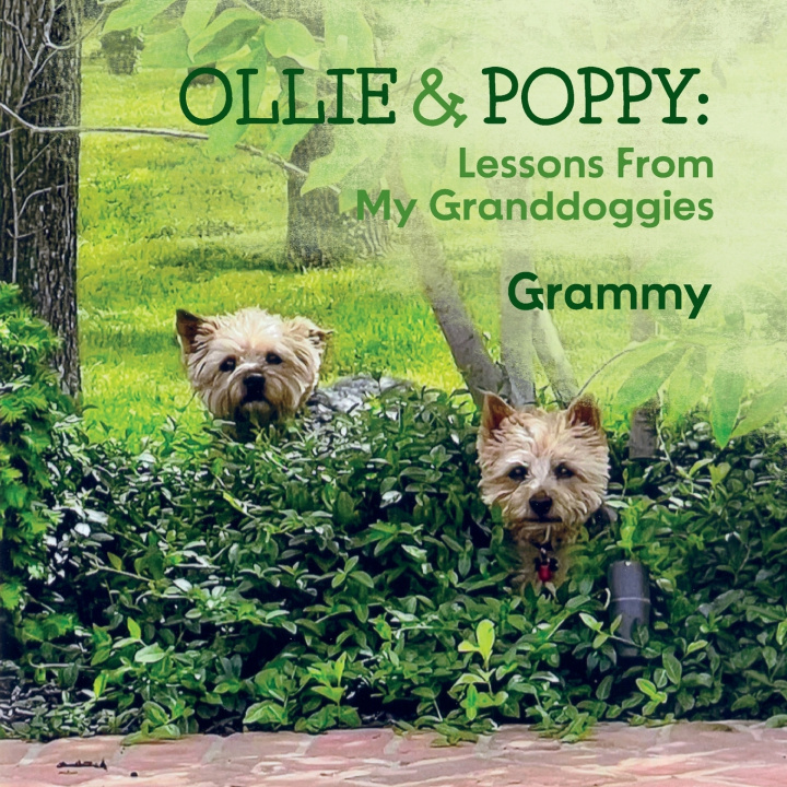 Libro OLLIE & POPPY Grammy