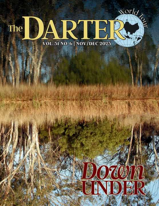 Buch The Darter Micah Issitt