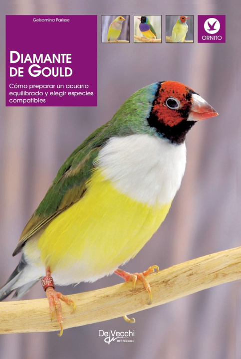 Buch Diamante de gould Michel Bolzinger