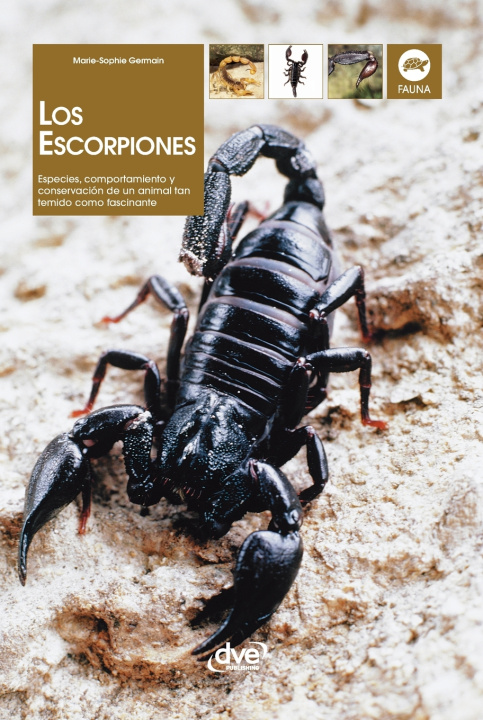 Libro Los escorpiones Marie-Sophie Germain