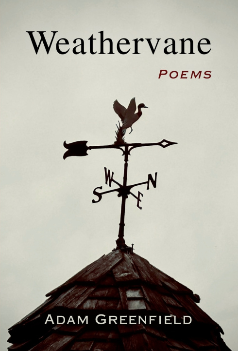 Knjiga Weathervane Adam Greenfield