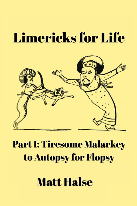 Boek Limericks for Life Matt Halse