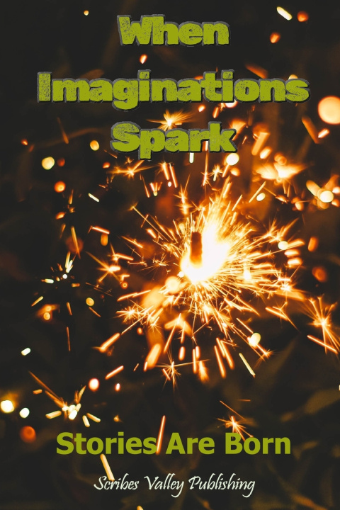 Könyv When Imaginations Spark Joseph J. Salerno