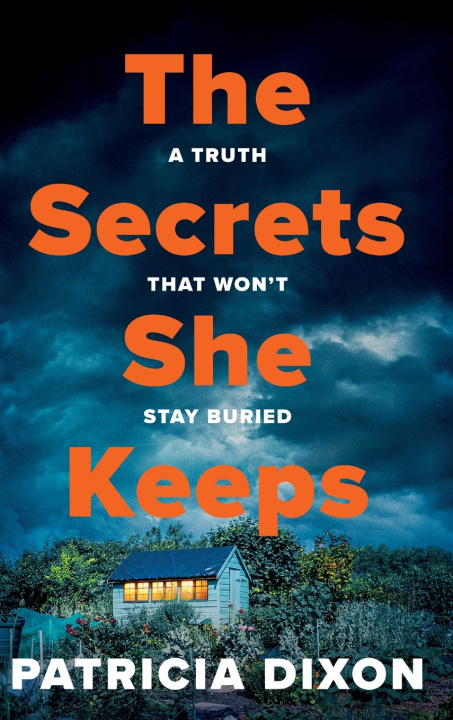 Book The Secrets She Keeps Patricia Dixon