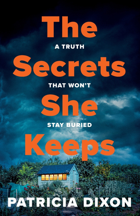 Buch The Secrets She Keeps Patricia Dixon