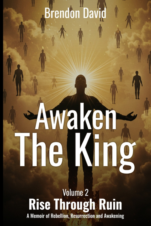 Boek Awaken the King Brendon David