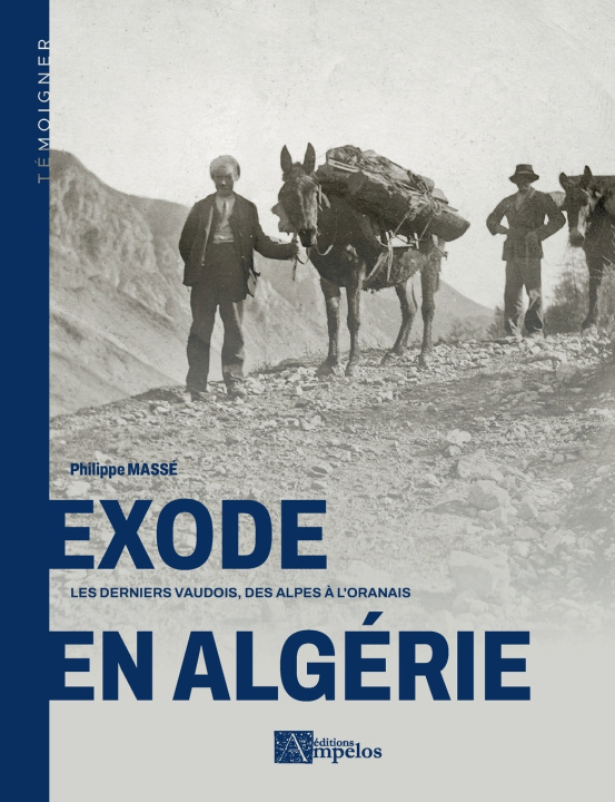 Książka Exode en Algérie Philippe Massé