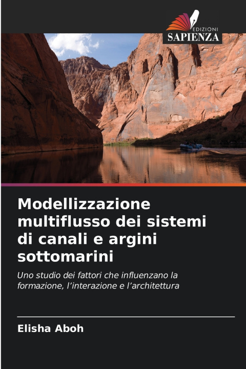 Libro Modellizzazione multiflusso dei sistemi di canali e argini sottomarini Elisha Aboh