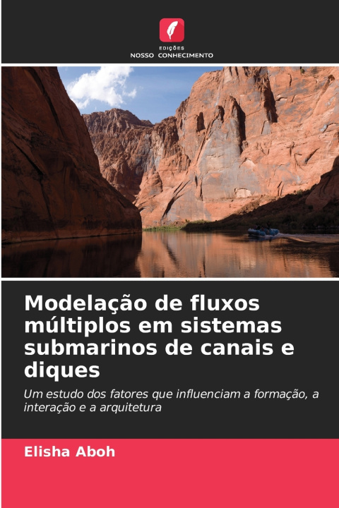 Libro Modelação de fluxos múltiplos em sistemas submarinos de canais e diques Elisha Aboh