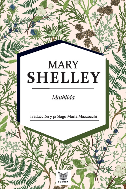 Buch Mathilda Mary Shelley