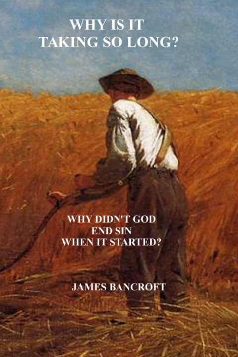 Carte WHY IS IT TAKING SO LONG? James Bancroft