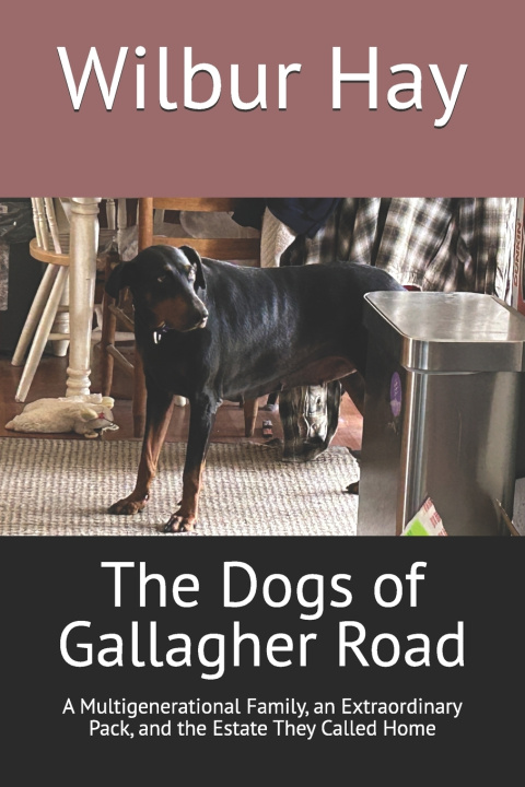 Buch The Dogs of Gallagher Road Wilbur Hay