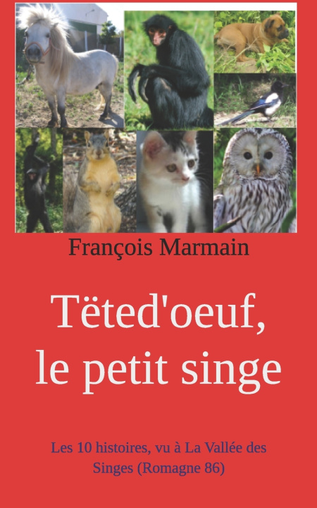 Buch Tëted'oeuf, le petit singe François Marmain