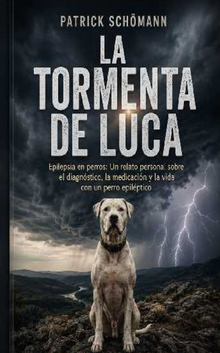 Knjiga La tormenta de Luca Patrick Schömann