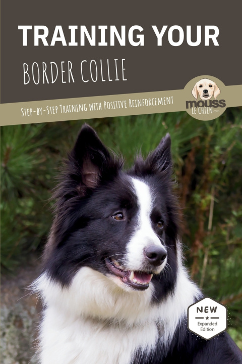 Buch TRAINING YOUR BORDER COLLIE Mouss Le Chien