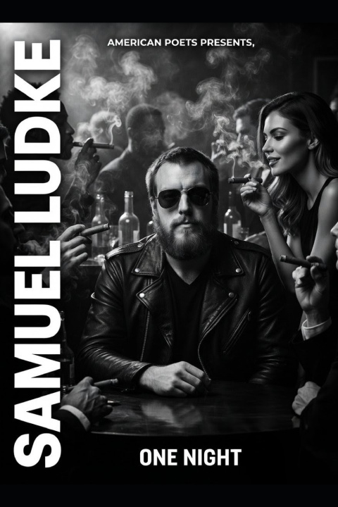 Buch One Night Samuel Ludke