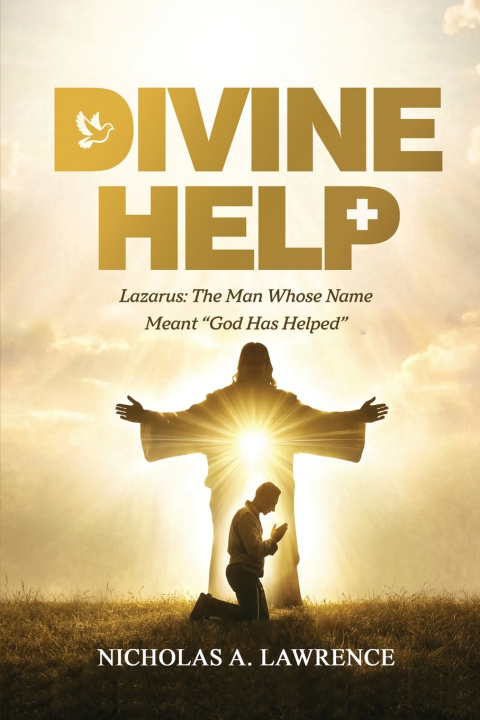 Buch DIVINE HELP Nicholas A. Lawrence