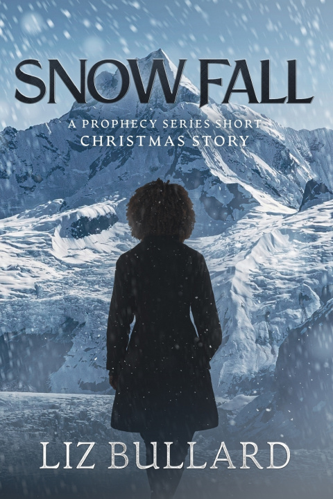 Boek Snow Fall Liz Bullard