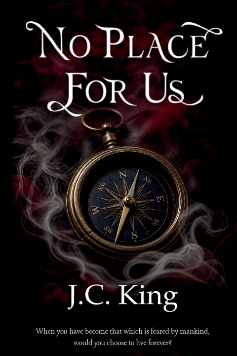Kniha No Place For Us J.C. King