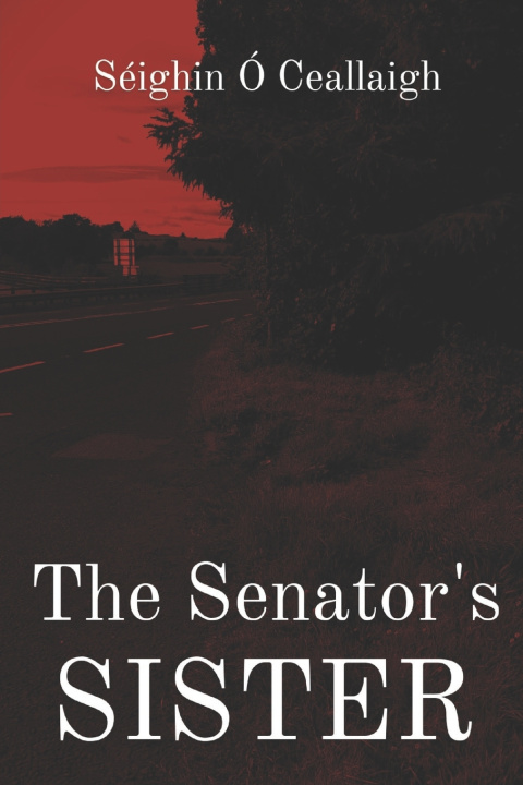 Buch The Senator's Sister Séighin Ó Ceallaigh