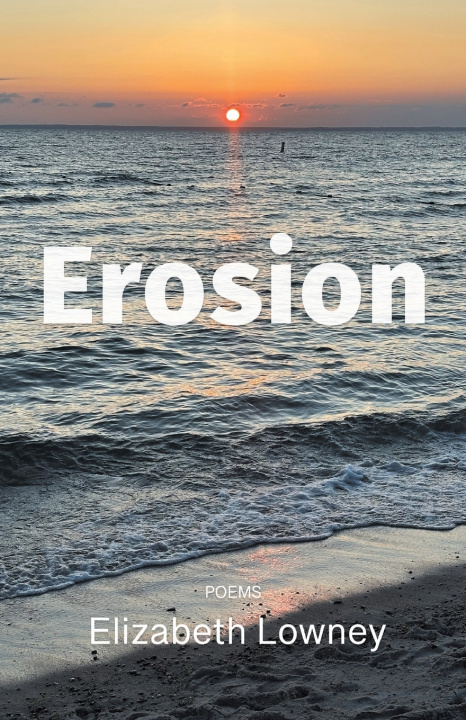 Livro Erosion Elizabeth Lowney