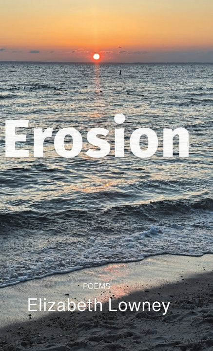 Boek Erosion Elizabeth Lowney