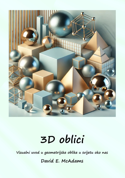 Libro 3D oblici David E. McAdams