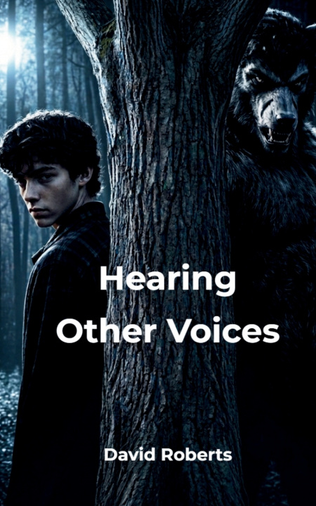 Książka Hearing Other Voices Roberts
