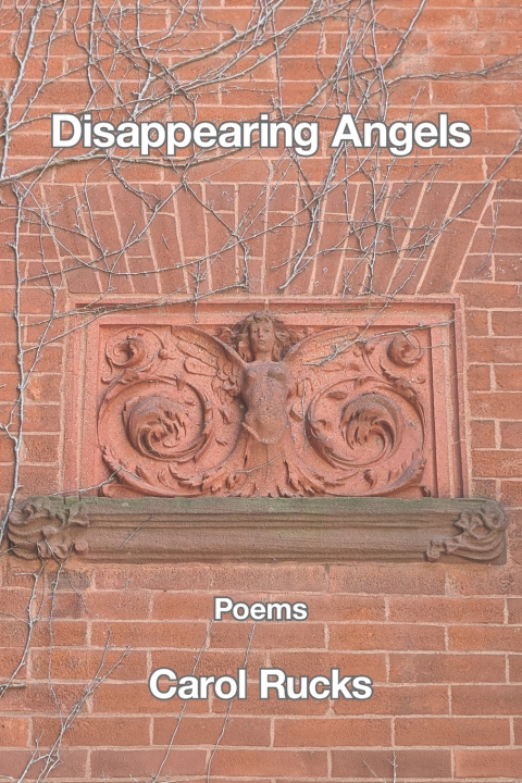 Kniha Disappearing Angels Carol Rucks