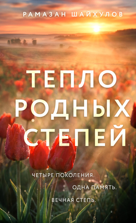 Kniha Тепло родных степей Рамазан Шайхулов