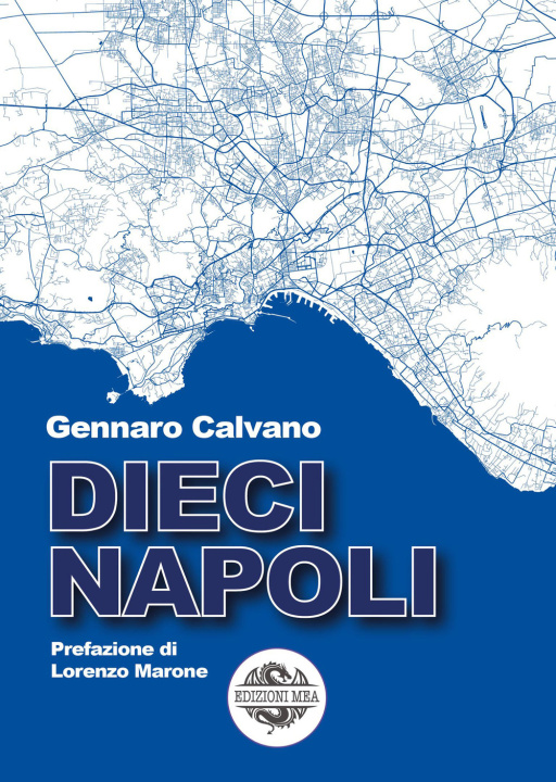Kniha Dieci Napoli Gennaro Calvano