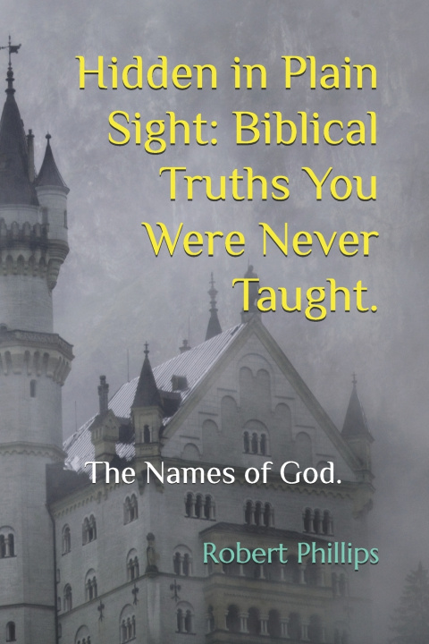 Livro Hidden in plain sight Robert Phillips