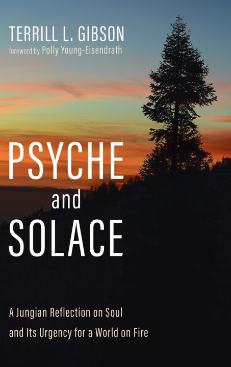 Könyv Psyche and Solace Terrill L. Gibson