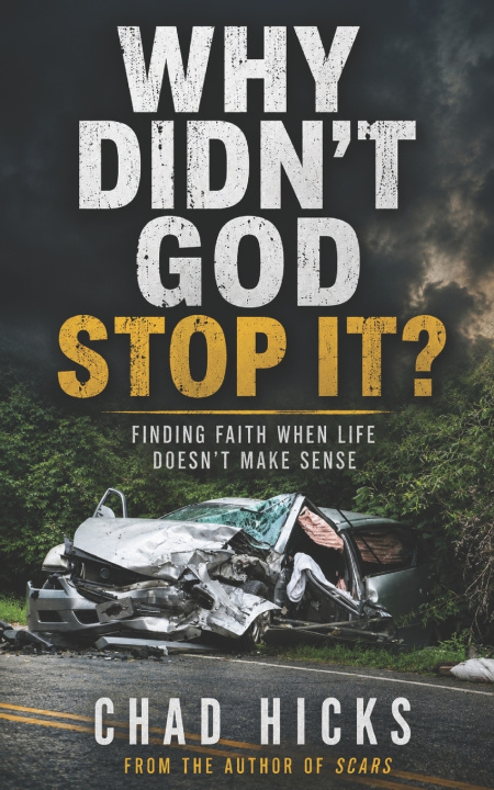 Книга Why Didn't God Stop It? Chad Hicks